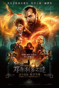 神奇动物：邓布利多之谜 (4K)